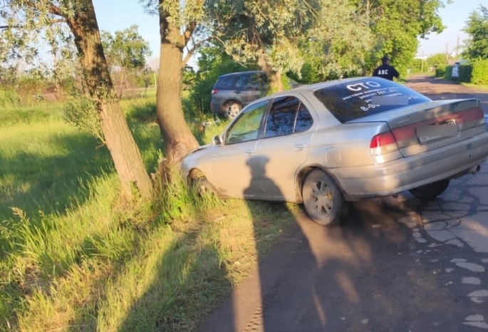 В Омской области пьяная пассажирка угнала такси и врезалась в дерево