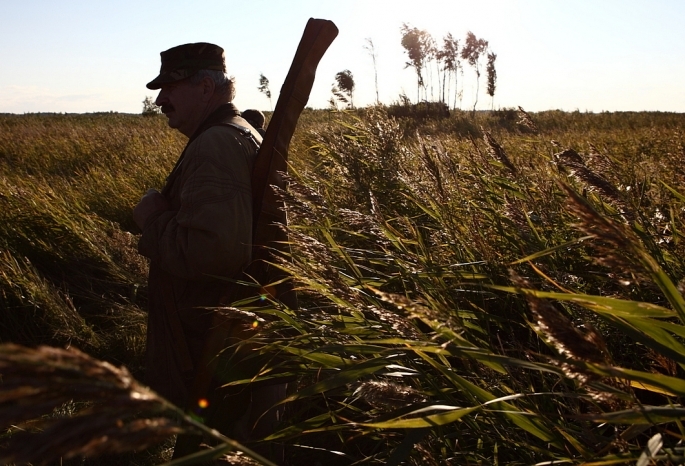 Омский браконьер заплатит 240 тысяч за убийство двух косуль