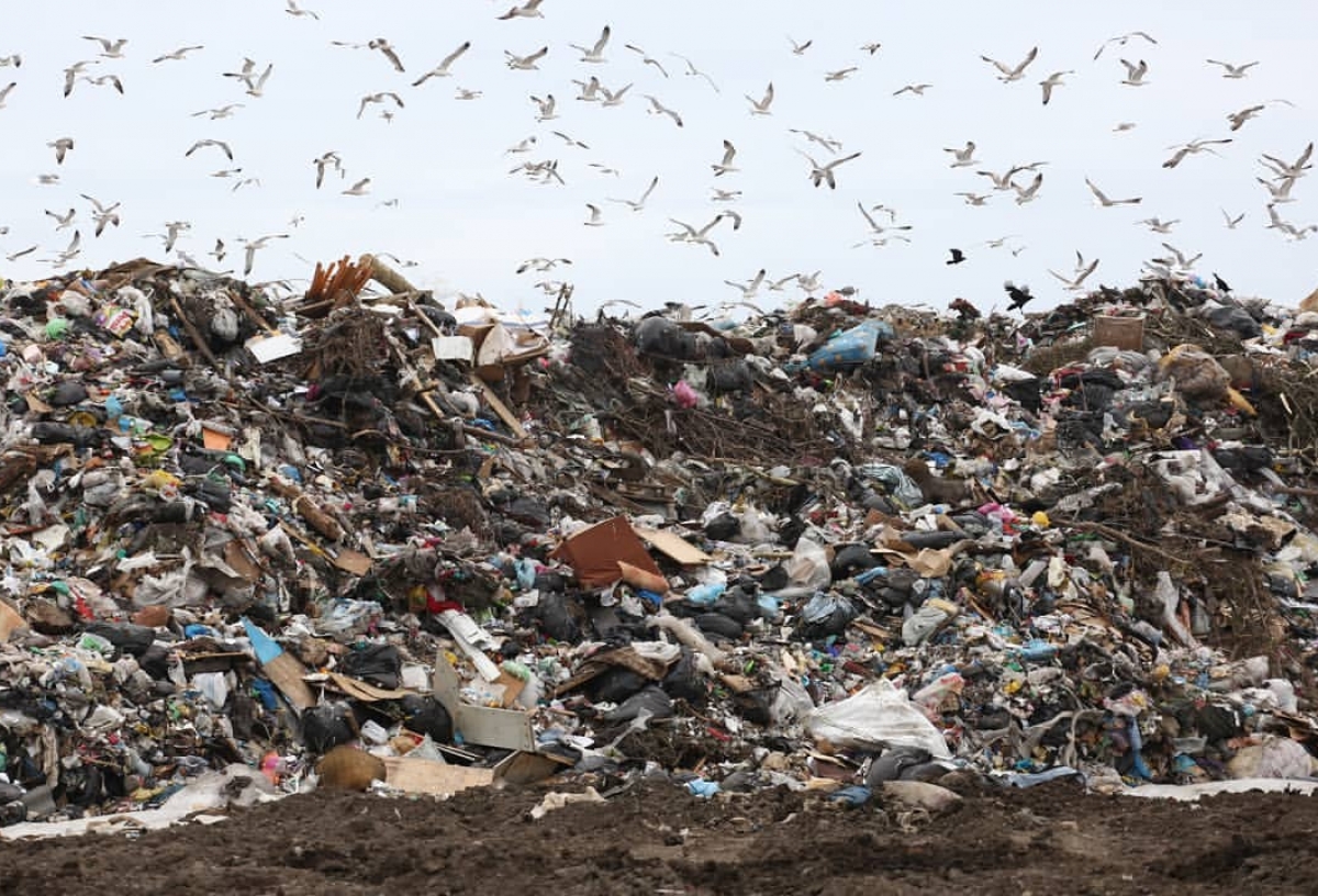 Мэрия ищет подрядчиков для очистки Омска от мусора за 6 миллионов 