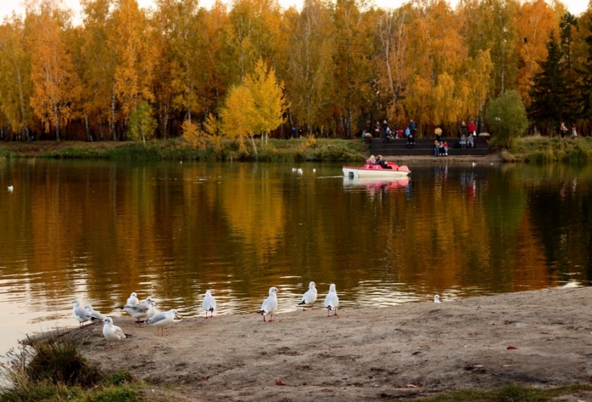 В начале октября Омскую область ждет бабье лето