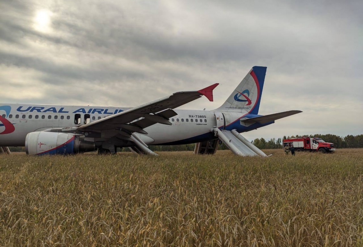 Среди пассажиров самолета Сочи — Омск, экстренно севшего в поле, была беременная женщина