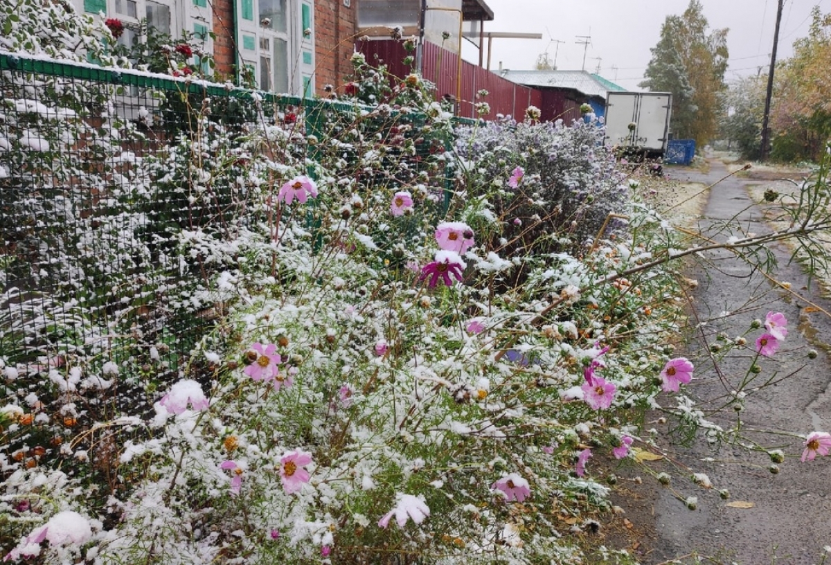 Первый снег в городе: омичи поделились снежными фото и видео