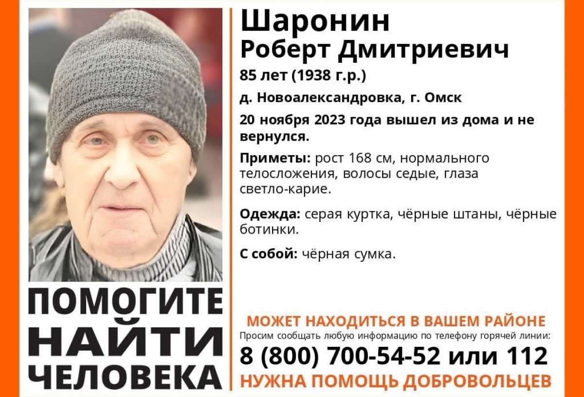 В Омском районе пропал 85-летний мужчина