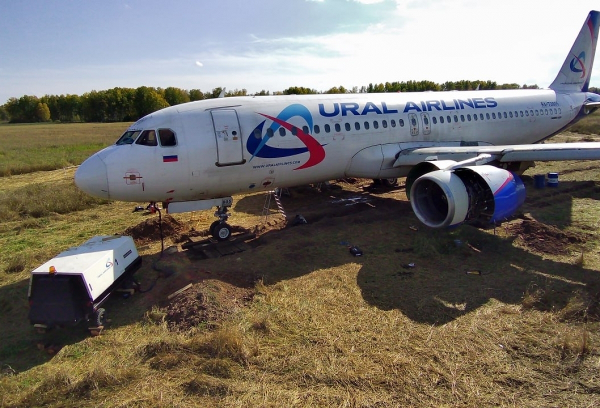Севший в поле самолет «Уральских авиалиний» разберут на запчасти и спишут в утиль - СМИ