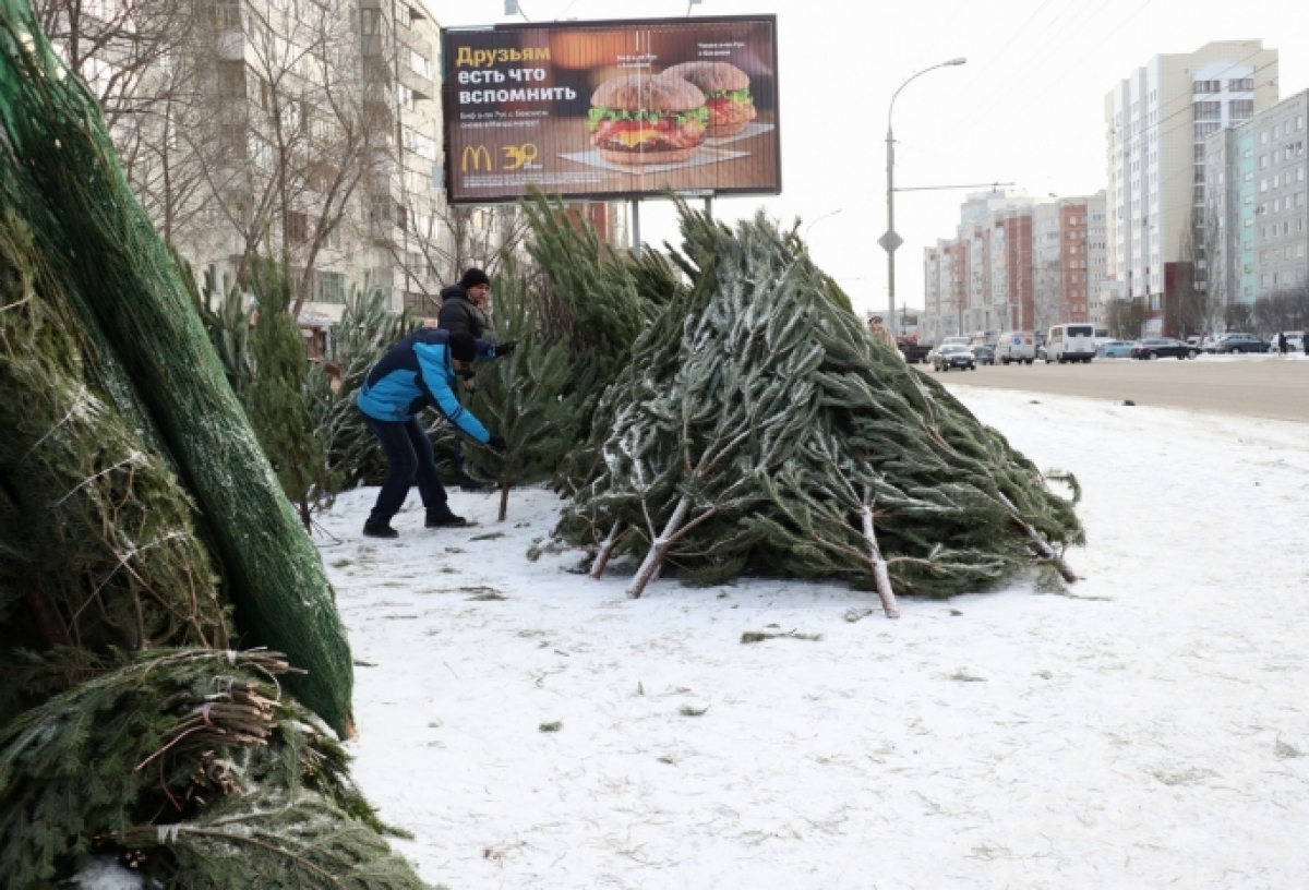 В Омске торговцы побросали непроданные елки прямо на улице