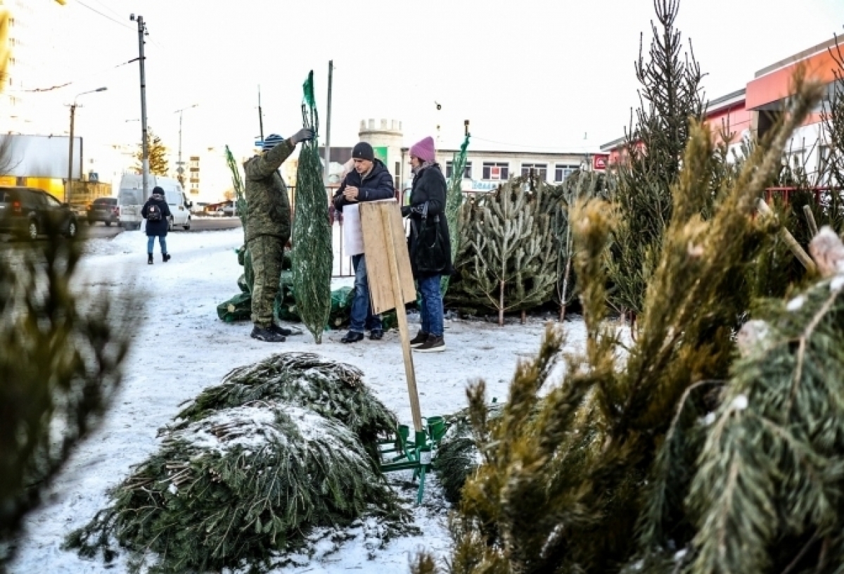 Пункт приема елок на утилизацию открыли и в центре Омска