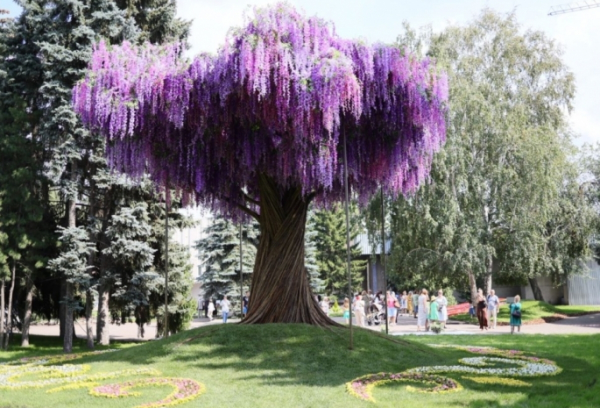 Омскую выставку «Флора» в 2024 году посвятят теме семьи