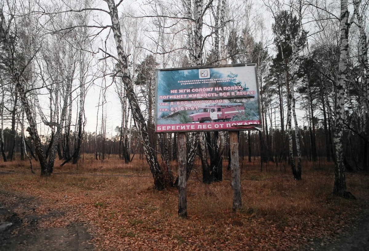 Омский силач Михаил Шивляков сразится за победу на фестивале Шварценеггера  в США