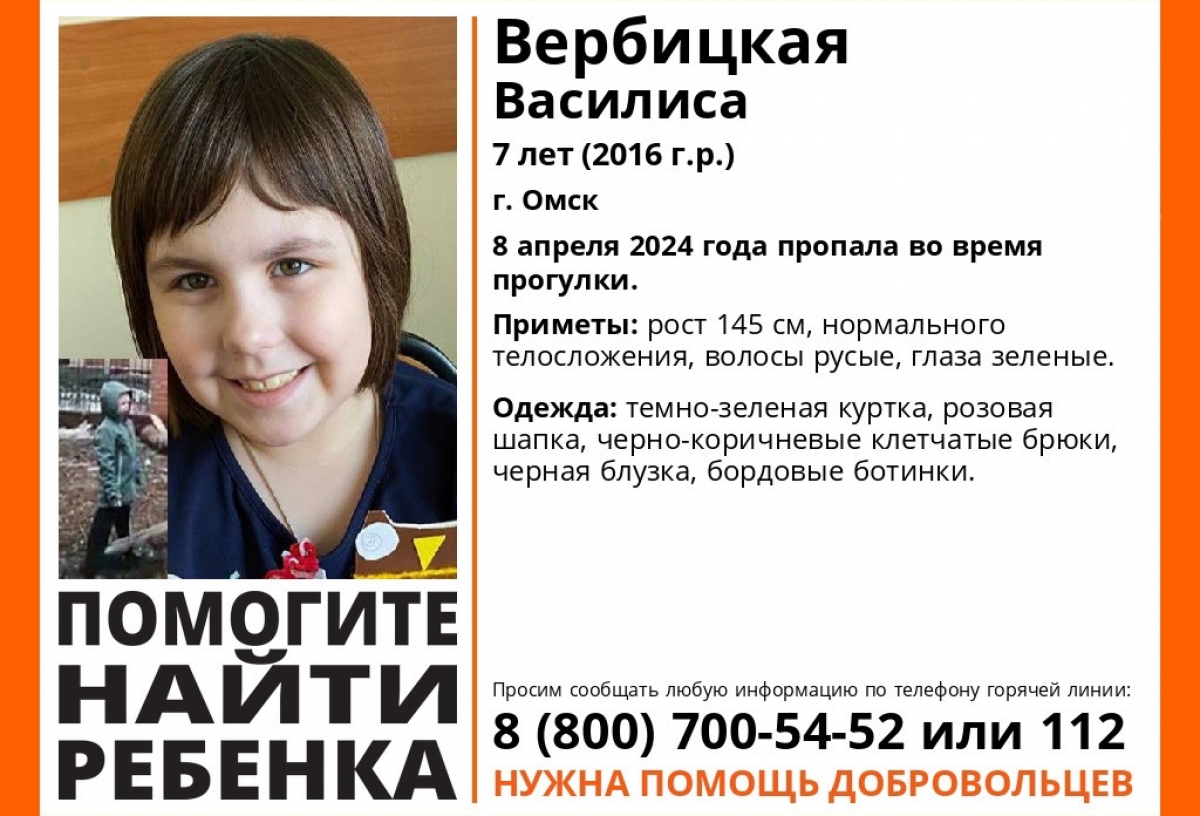 В Омске во время прогулки пропала 7-летняя девочка