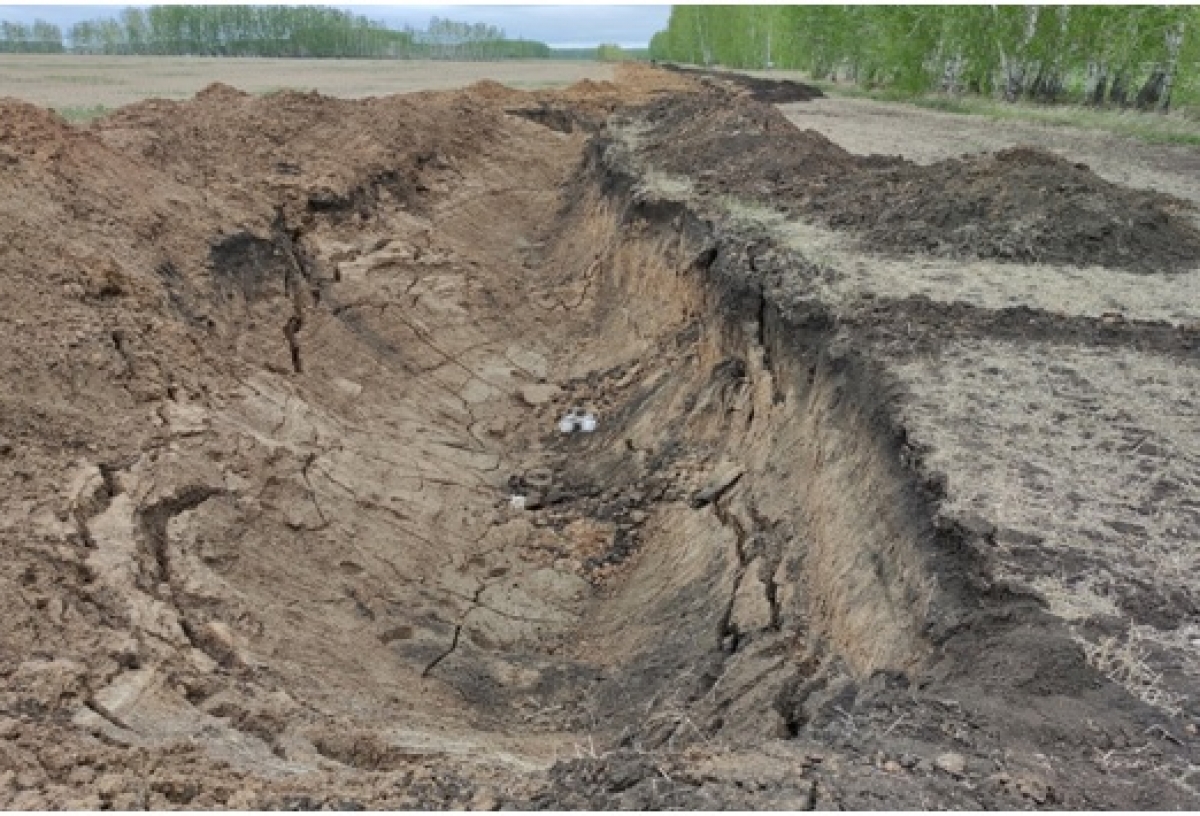 В Азово Омской области неизвестные сняли слой плодородной почвы