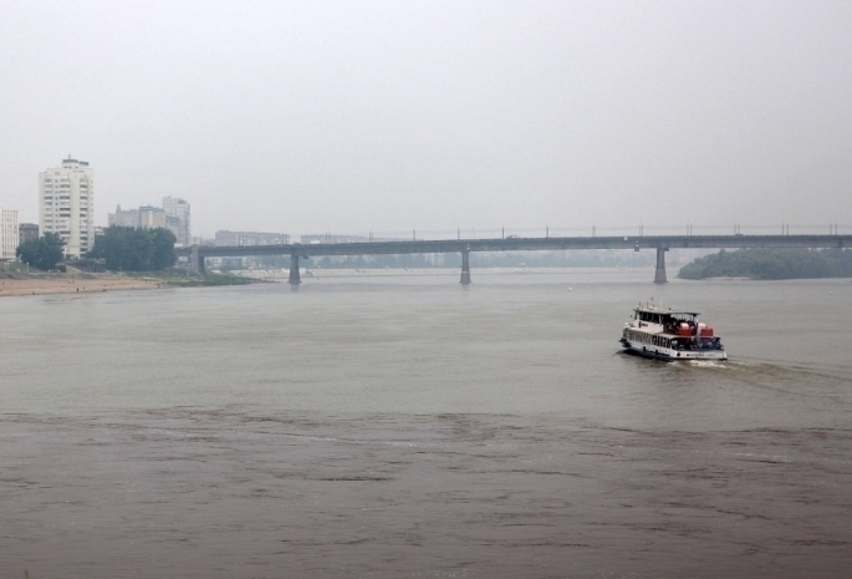 В омских реках выявили загрязнения пестицидами и ртутью