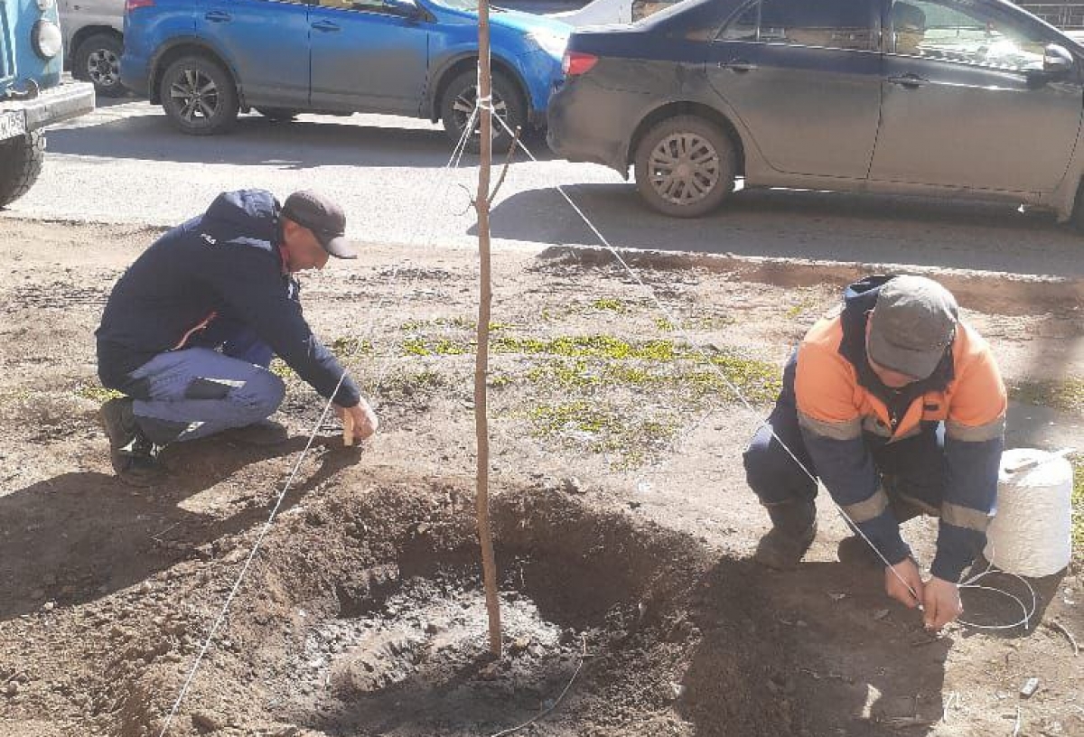 Мэр Сергей Шелест рассказал, как проходит озеленение в Омске 