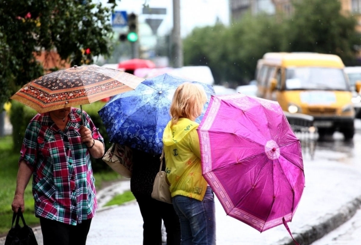 Лето в Омской области начнется с дождя и грозы