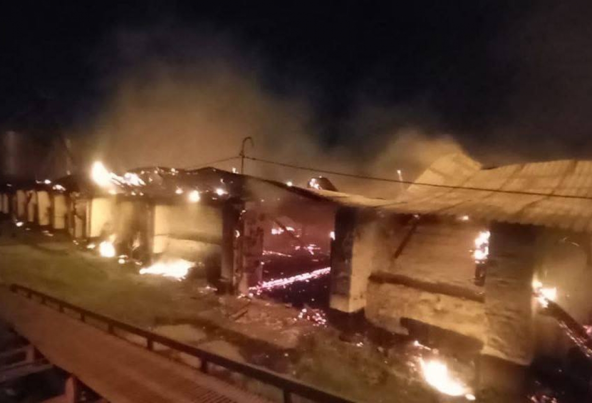 В Омской области ночью мощный пожар уничтожил крупное зернохранилище 