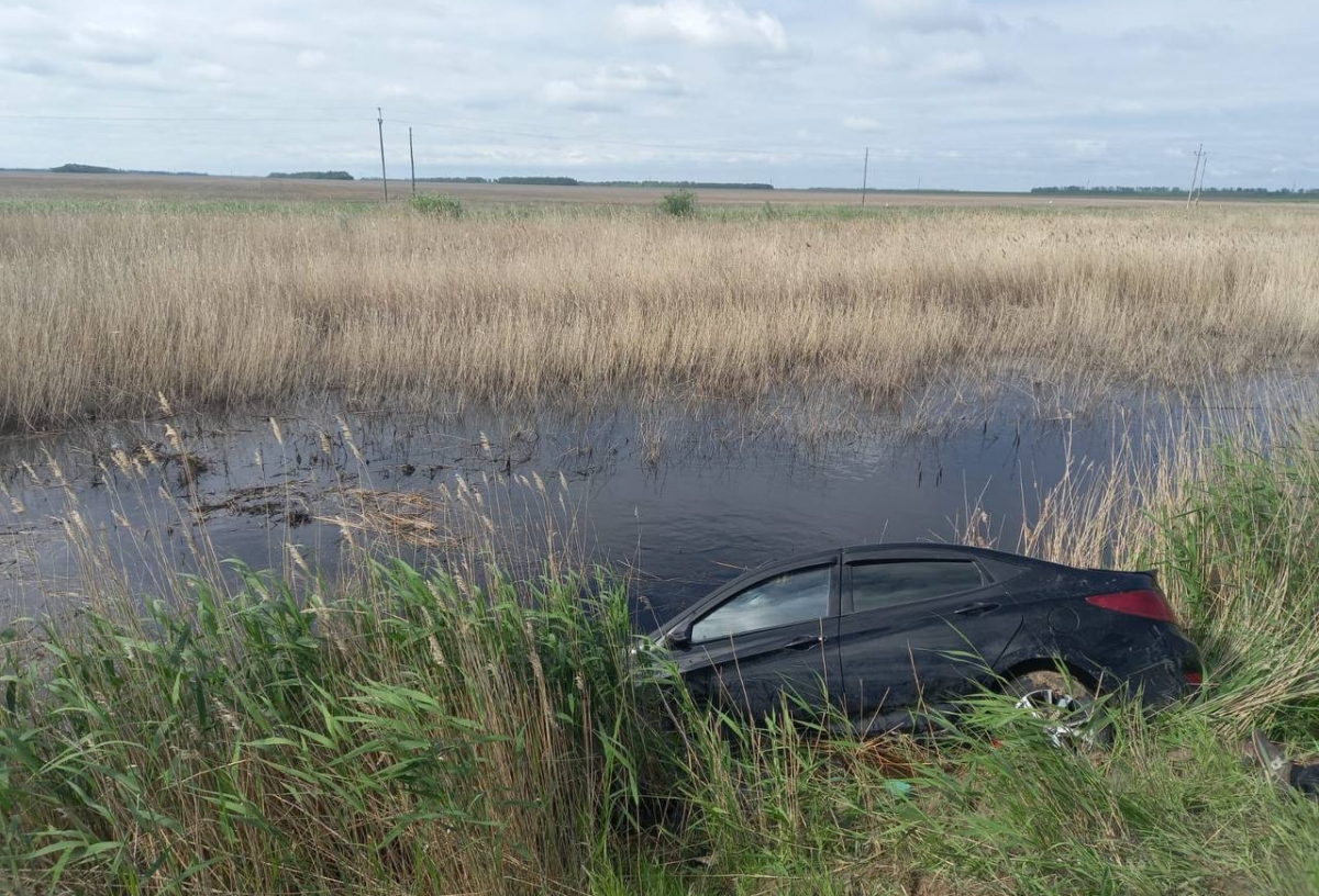 В Омской области машина улетела с трассы в болото: водитель и пассажир погибли на месте