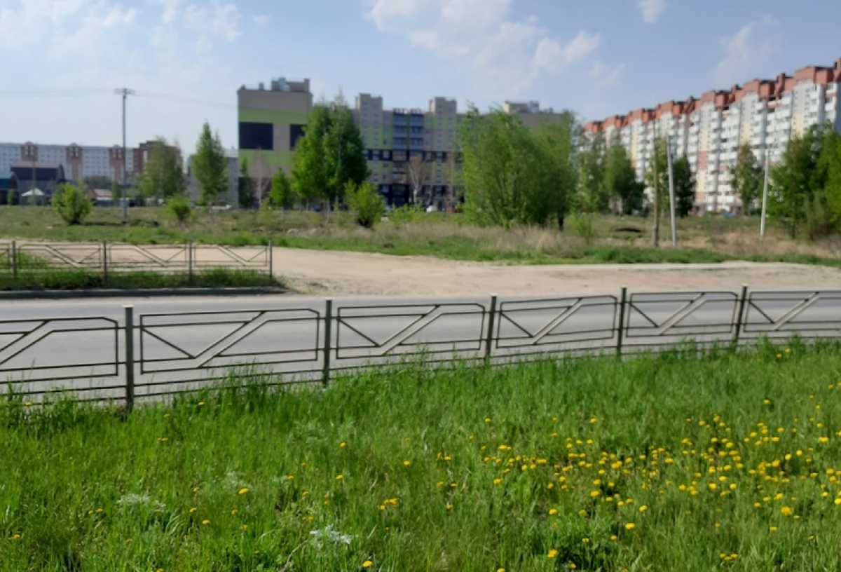 В Омске не нашли подрядчика для покоса травы и уборки дорог