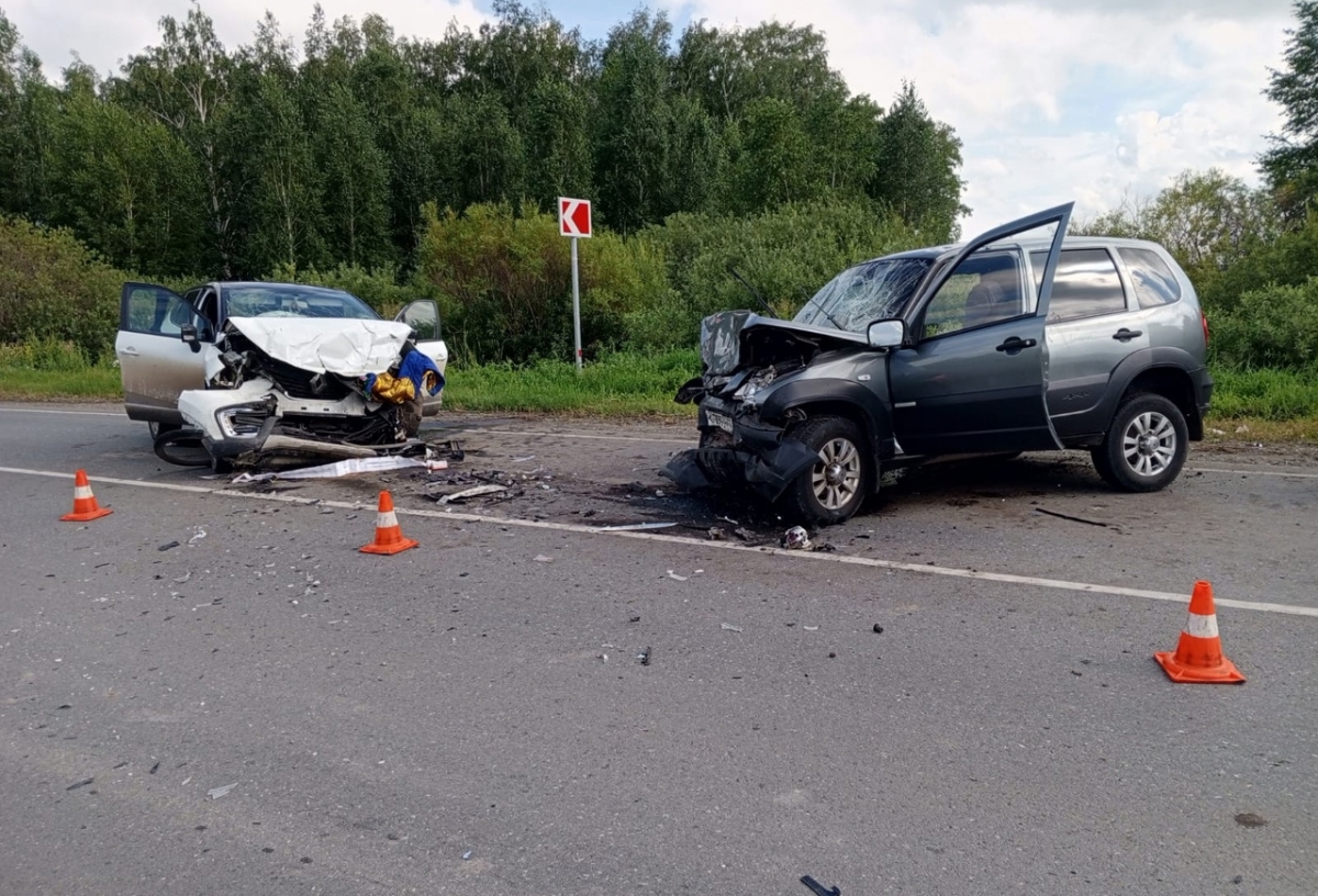 В Омской области пять человек получили травмы в ДТП 