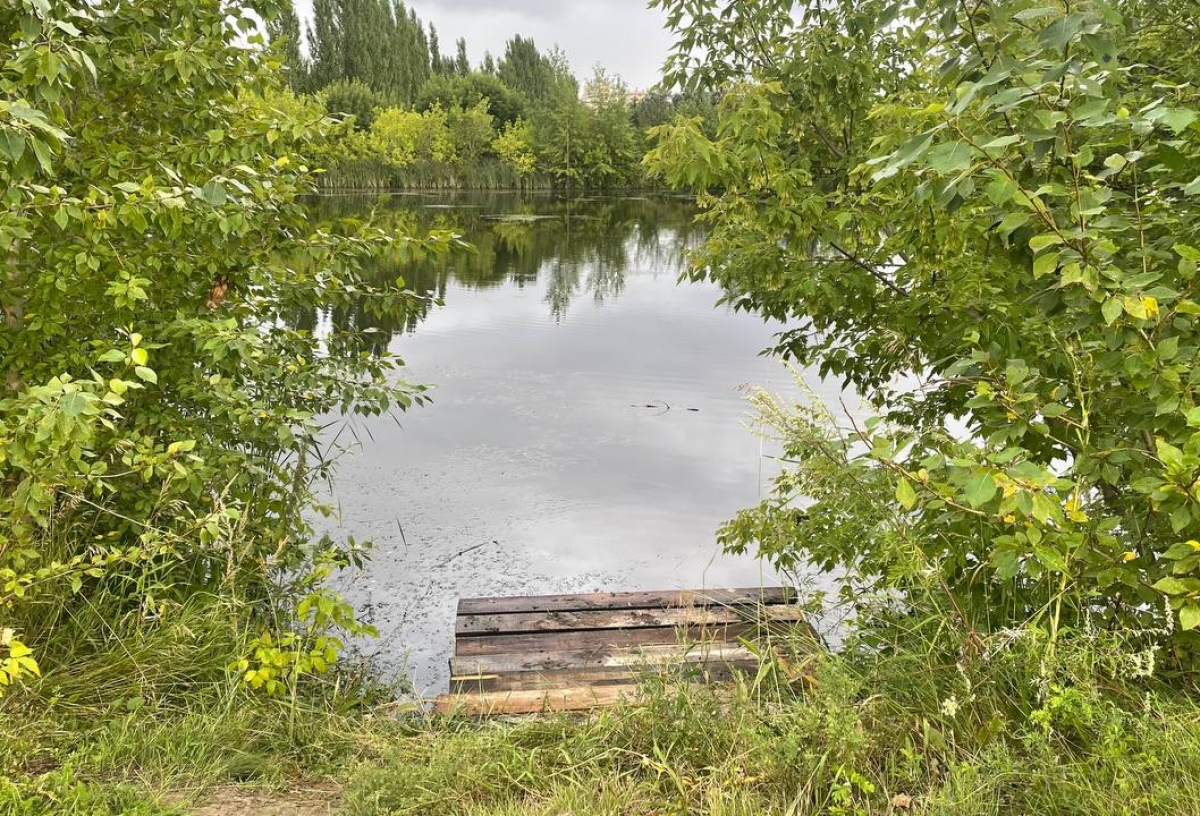 На выходных в Омской области станет еще холоднее - по ночам будет +7°