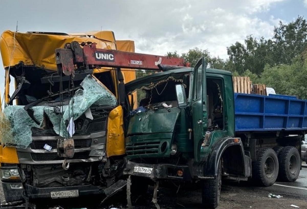 На новосибирской трассе под Омском столкнулись два грузовика