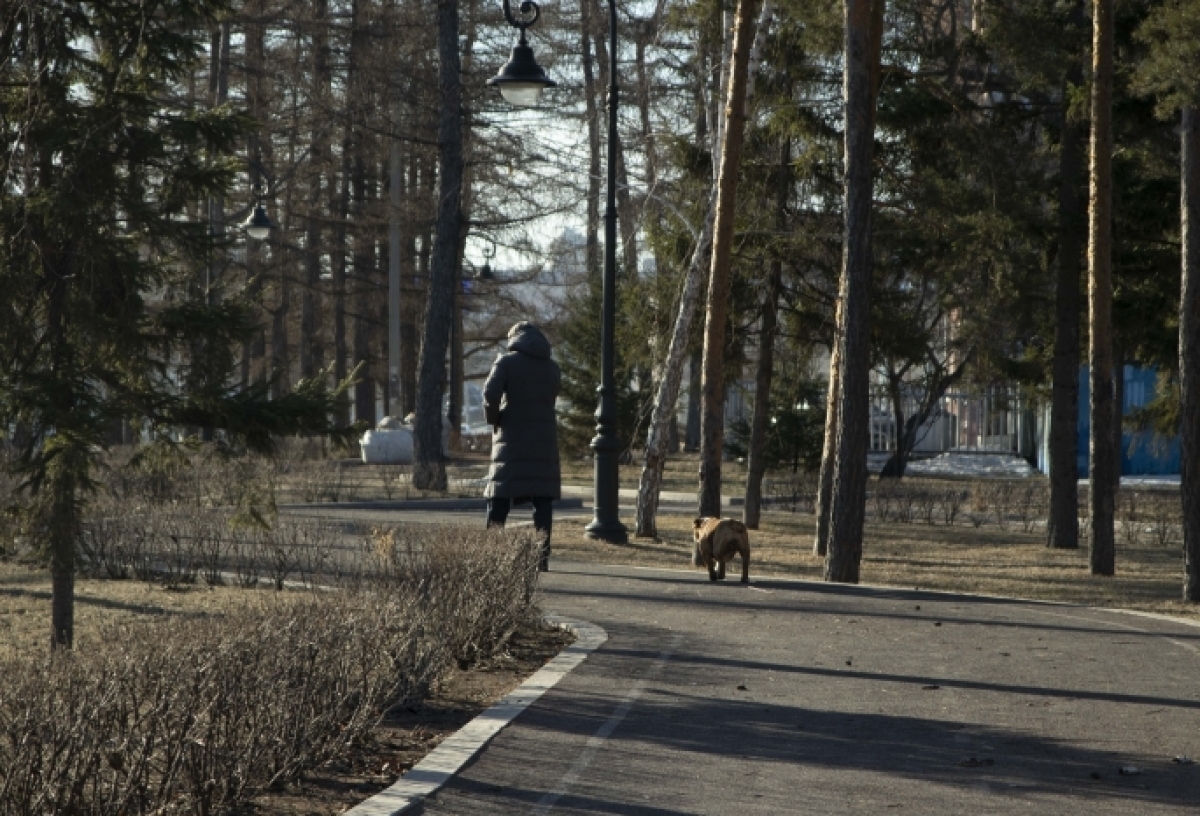 «Люди гадят больше»: омичи обсуждают, надо ли запрещать выгуливать собак в парках и скверах. А вы как считаете? (голосование)