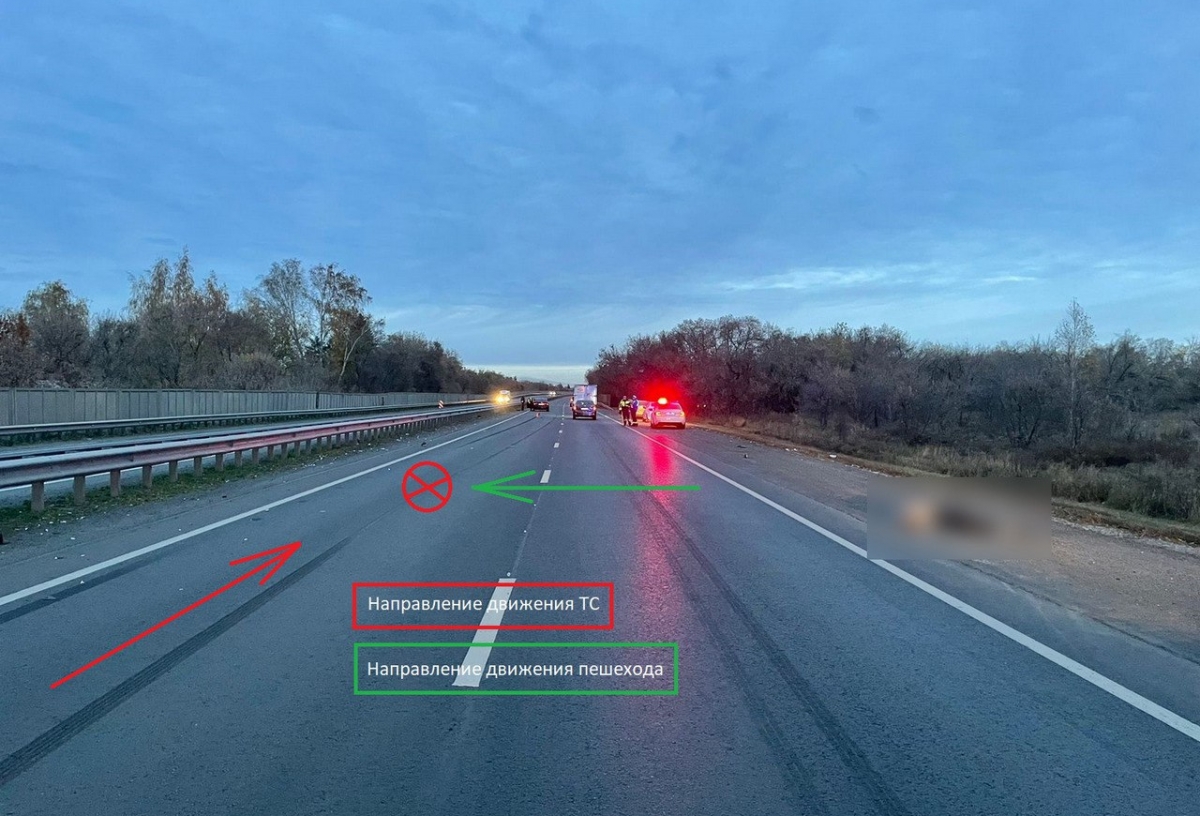На омской трассе машина насмерть сбила пешехода