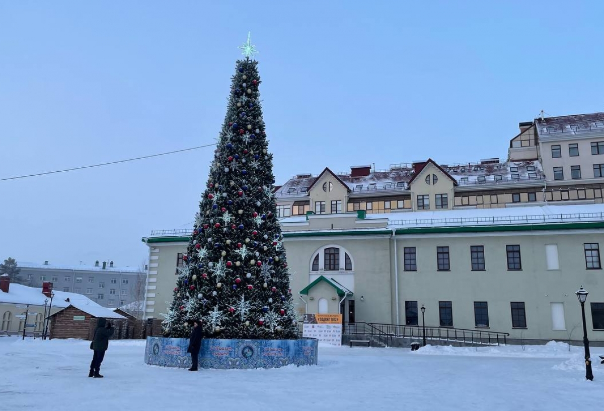 В Омской крепости устанавливают главную новогоднюю елку за 3 миллиона