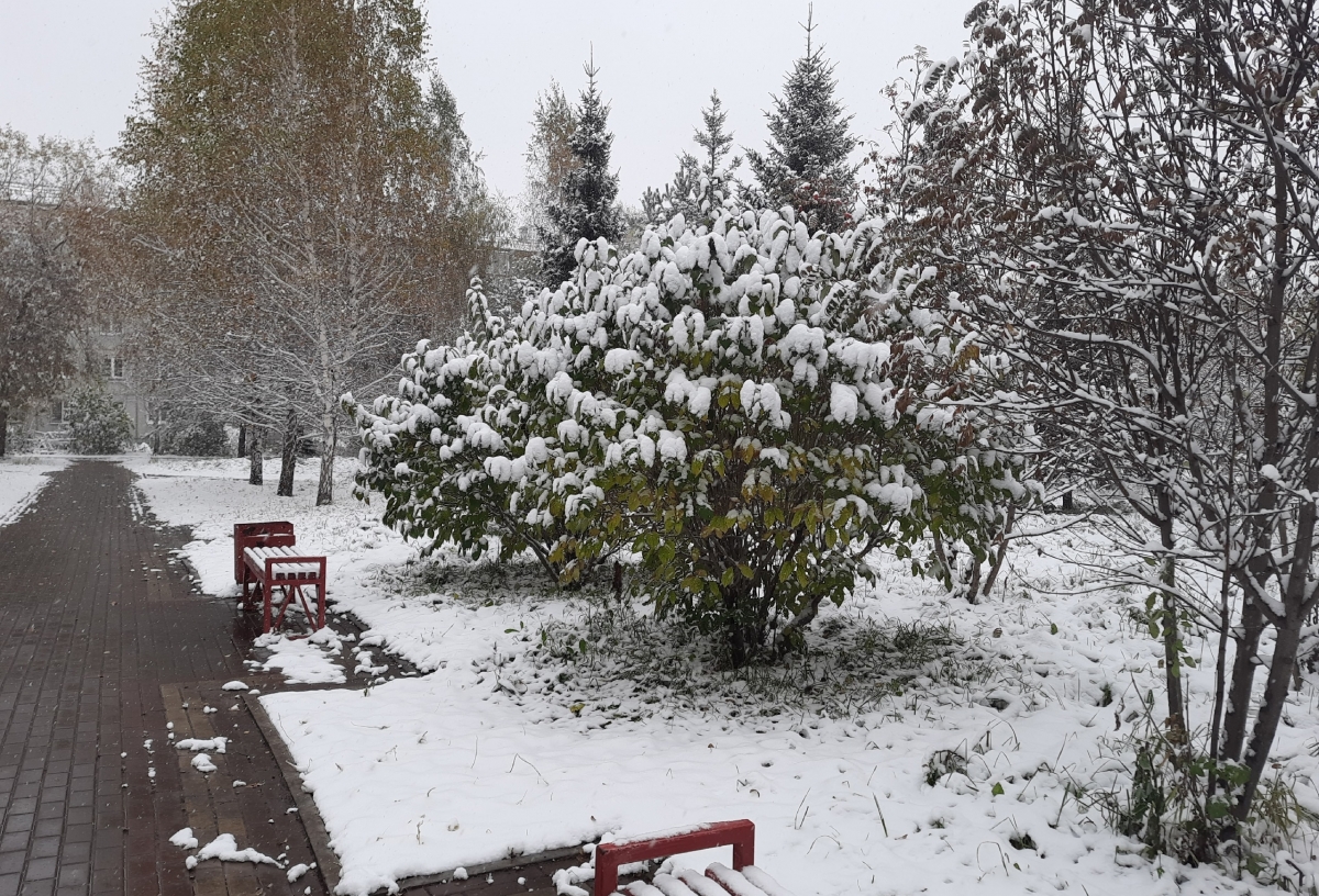 Ближе к выходным в Омскую область придет похолодание
