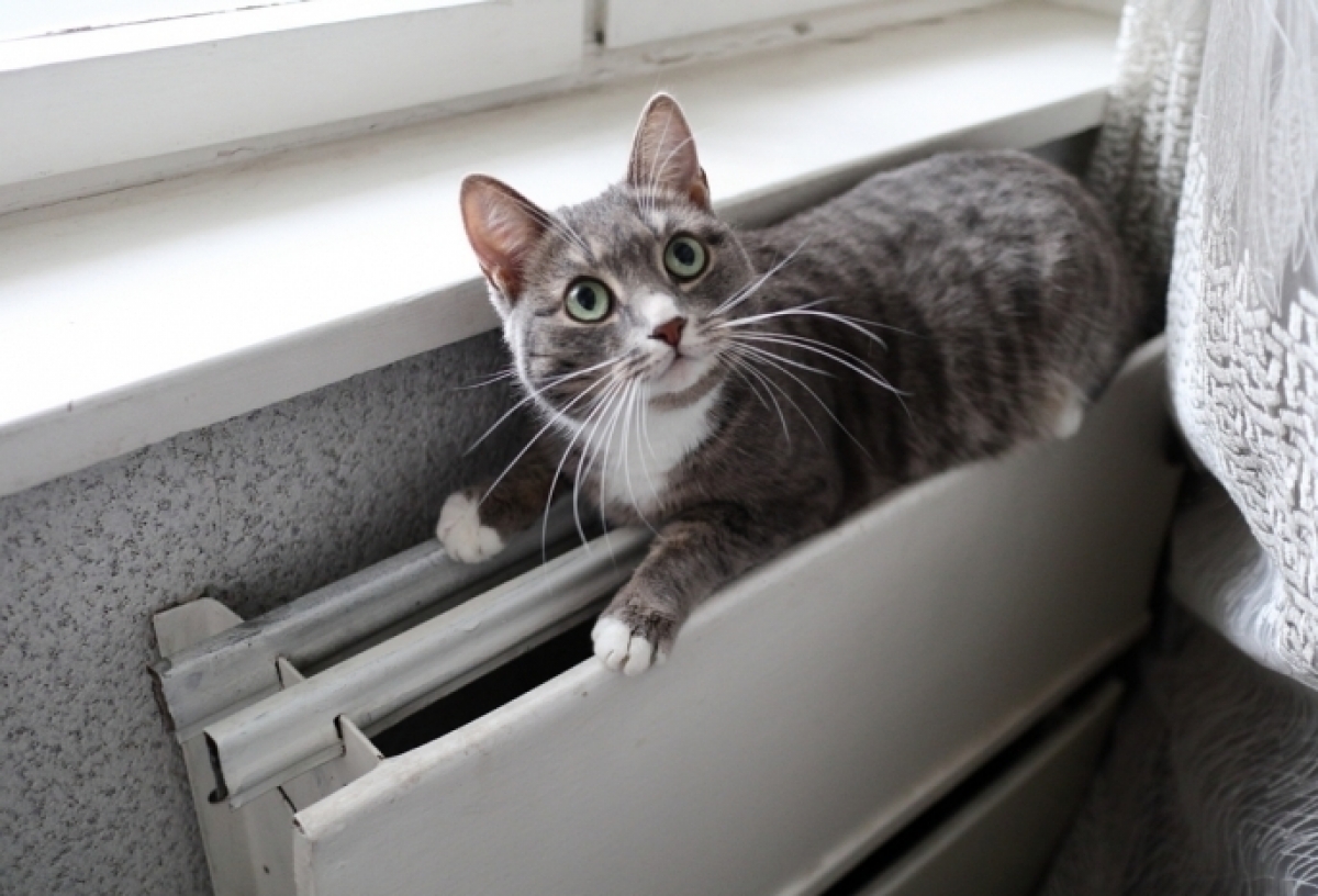 Жители Амурского поселка в Омске жалуются, что в их квартирах исчезло отопление после взрыва в Ростовке