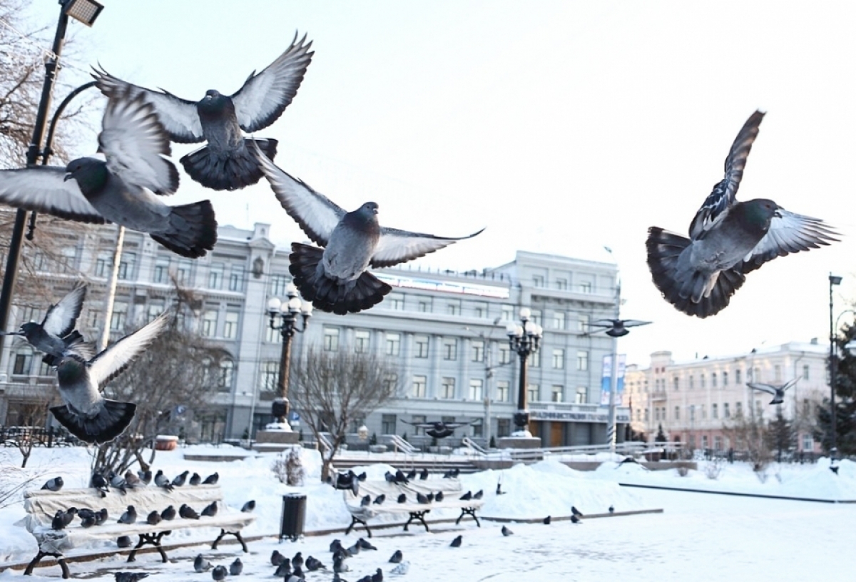 На выходных в Омской области обещают мокрый снег с дождем