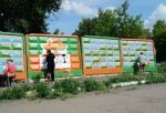 Омские художники расписали забор ко дню рождения приюта «Друг»