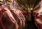 Омскому ветеринару грозит 12 лет колонии за липовые справки на мясо