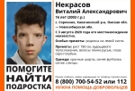 Под Омском пропал 16-летний подросток в красных шортах