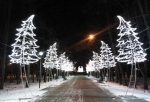 В Омске создадут зимний аналог «Флоры» с танцующими елями и замороженными цветами