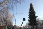 Главная елка Омска стала самой бюджетной в Сибири