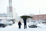 В Омске уже начали торговать живыми елками, но официальные места для новогодних базаров еще определили не во всех округах