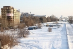 В Омске проверят работу комиссии по сносу деревьев после замечаний прокурора