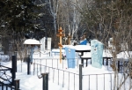 В Омске под новые места на Западном кладбище вырубят более 1300 деревьев 
