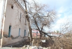 Сломанные деревья, летающий хлам и песчаная буря: последствия сильного ветра в Омске (Фото, видео)