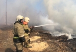 В Омском районе мощный пожар на дачах — загорелись 20 садовых участков (Обновлено)