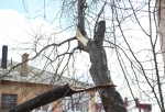 Сильный ветер и мокрый снег: В Омской области ожидается ухудшение погодных условий 