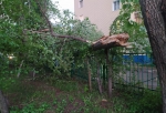 На территории омского детсада ураганный ветер снес несколько деревьев и фонарь (ФОТО)