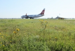 «Переносить сейчас аэропорт или ликвидировать парк никто не собирается»: названы самые опасные для самолетов обитатели омской «Птичьей гавани»