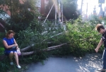 В Омске недалеко от музтеатра на женщину рухнуло дерево (Обновлено)