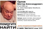В Омском районе пропал пенсионер в одном шлепанце