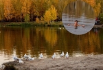 Женщина купается в озере омского парка до появления льда