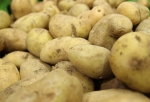 Из-за низкой урожайности в Омске стремительно дорожает картофель, а из-за роста себестоимости - хлеб