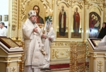 «Это чушь всякая»: Омский митрополит Владимир о чипах в вакцине 