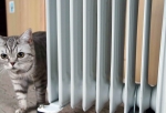 «Батареи холодные, сейчас 15 градусов» — жильцы домов в Амурском поселке пожаловались на проблемы с отоплением