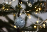 Куда в Омске сдать новогоднюю елку после праздника?