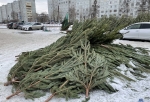 В Омске опять остались брошенные елочные базары с нераскупленными деревьями